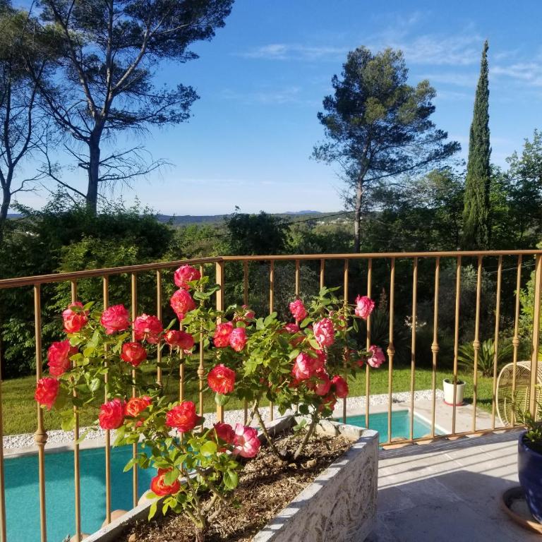 Ô Tilia d'Azur - Suite - Vue sur Piscine - 10