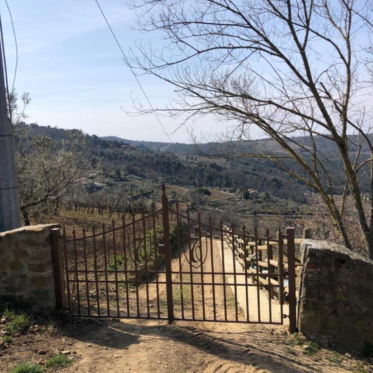 Podere Soccorso casa vigneto - One-Bedroom House - 8