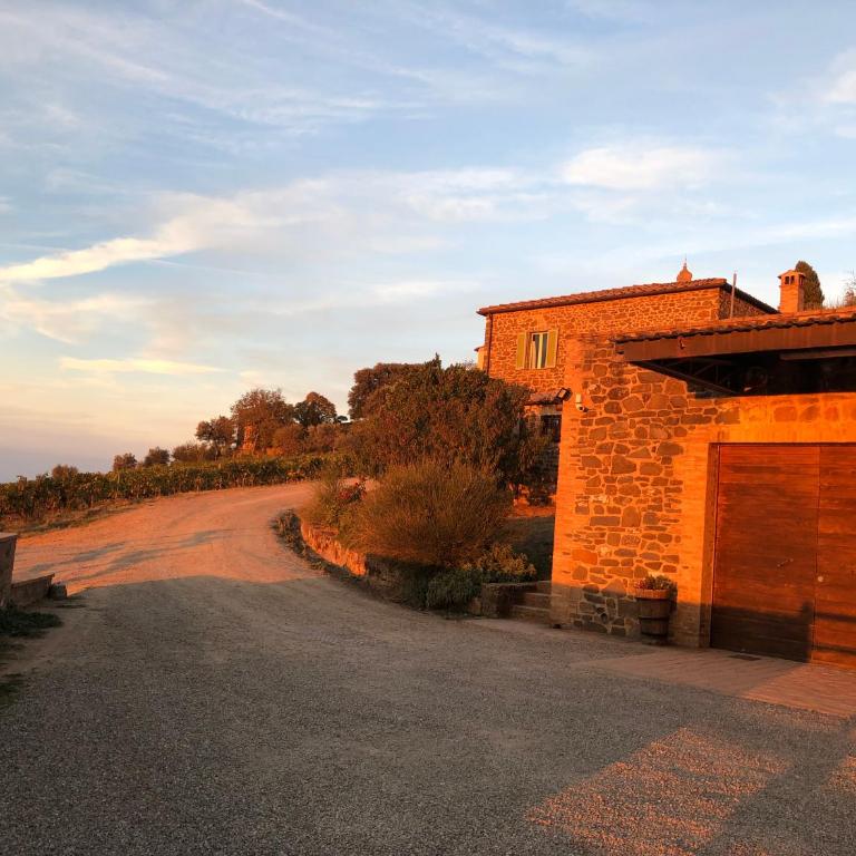 Podere Soccorso casa vigneto - One-Bedroom House - 12
