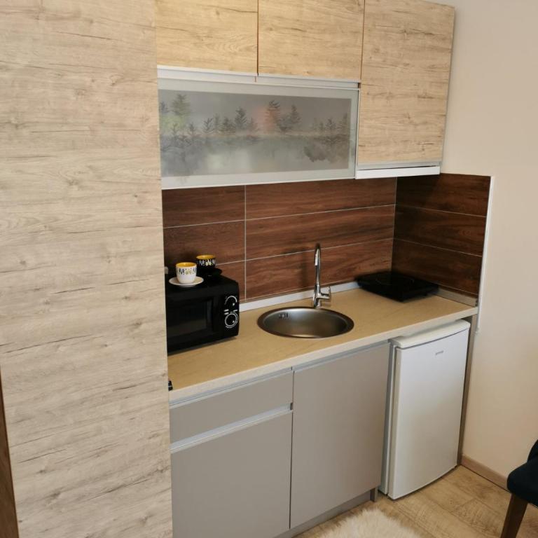 Apartman Šilja L22 Milmari Kopaonik - Apartment with Mountain View - 49
