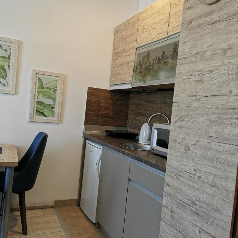 Apartman Šilja L22 Milmari Kopaonik - Apartment with Mountain View - 63