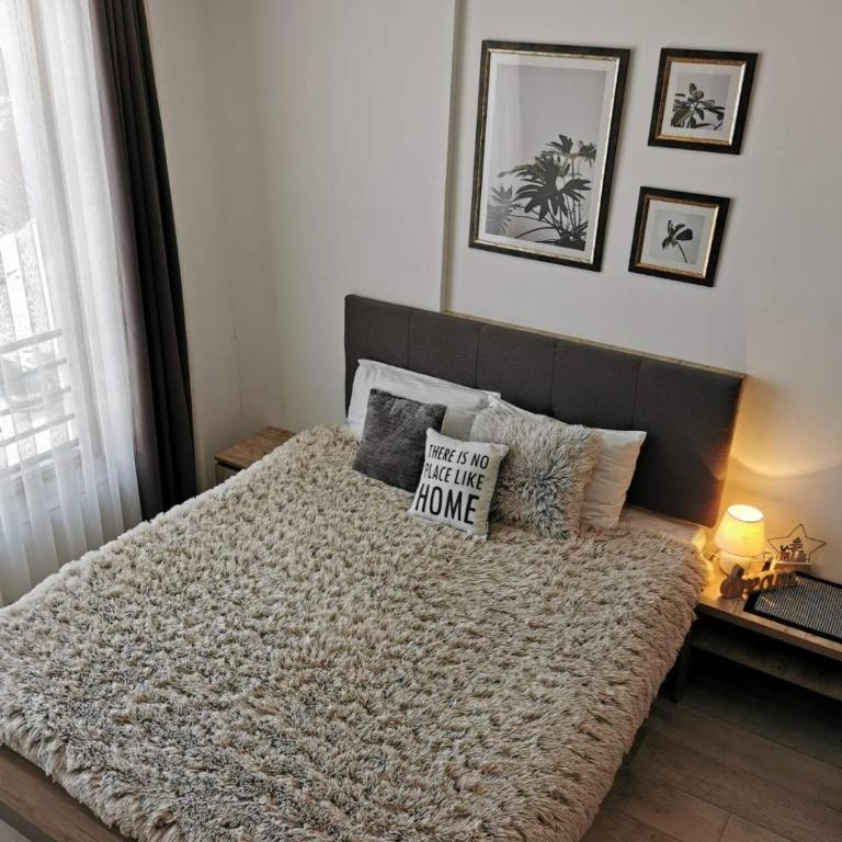 Apartman Šilja L22 Milmari Kopaonik - Apartment with Mountain View - 64
