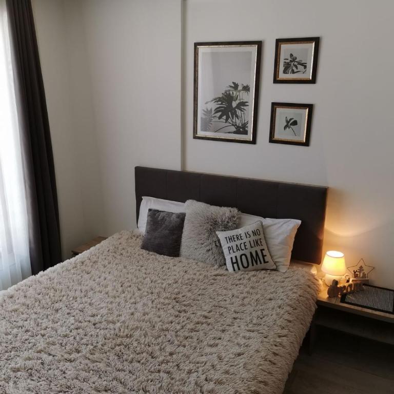 Apartman Šilja L22 Milmari Kopaonik - Apartment with Mountain View - 34