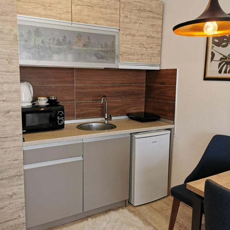 Šilja Kopaonik S45 Milmari - Studio with Mountain View - 43