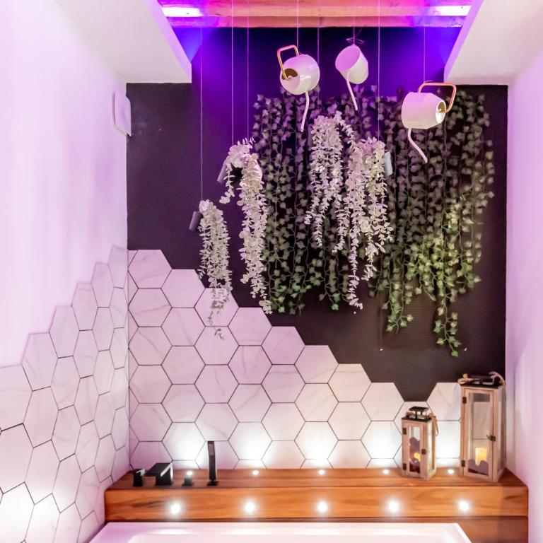 SWEET LEONE JACUZZI PLACE TERREAUX - Apartamento de 1 dormitorio - 13