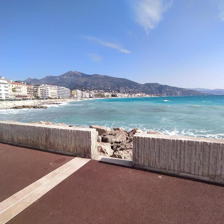 MENTON Park Apartment - Appartement 2 Chambres - 25