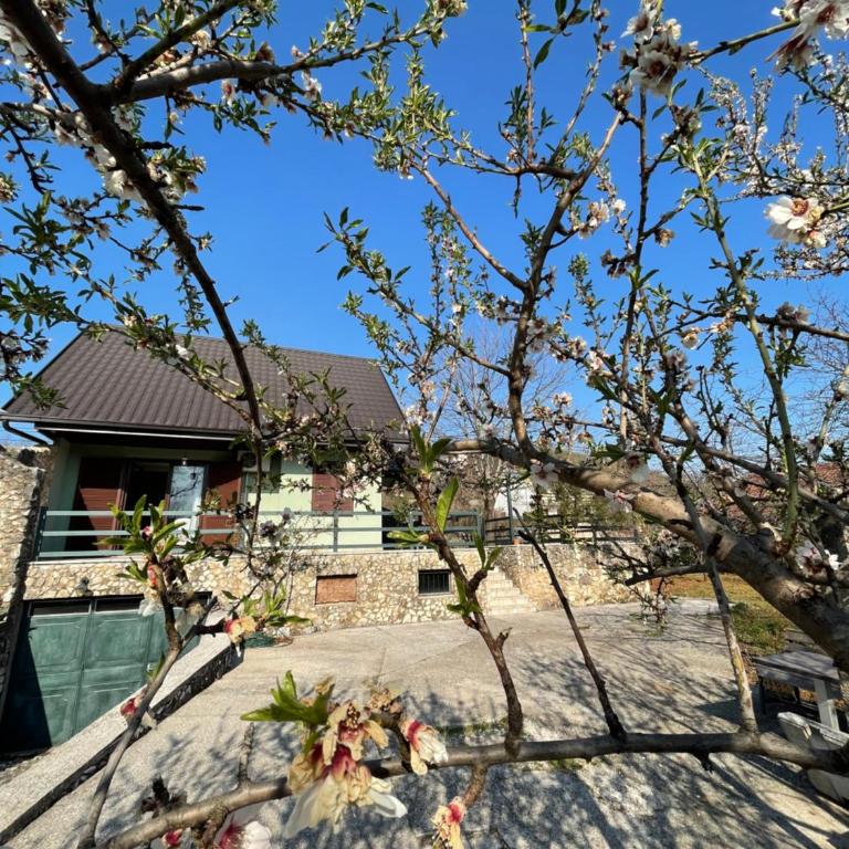 Almond Buna PoolHouse - Three-Bedroom House - 54