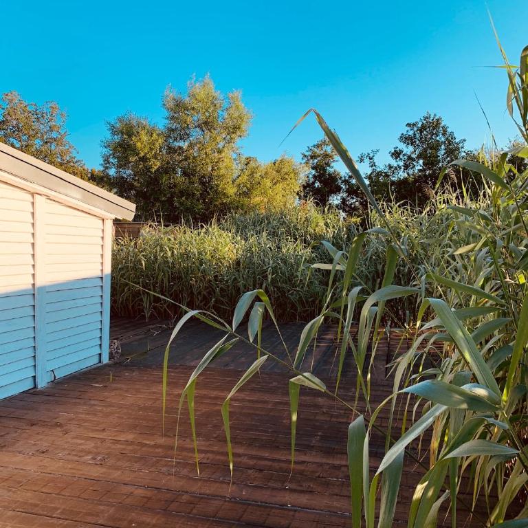Zen House for 2 - One-Bedroom Apartment - 36