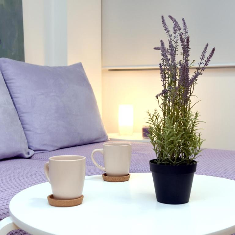 Cute and cozy - Apartman sa 1 Spavaćom Sobom - 3