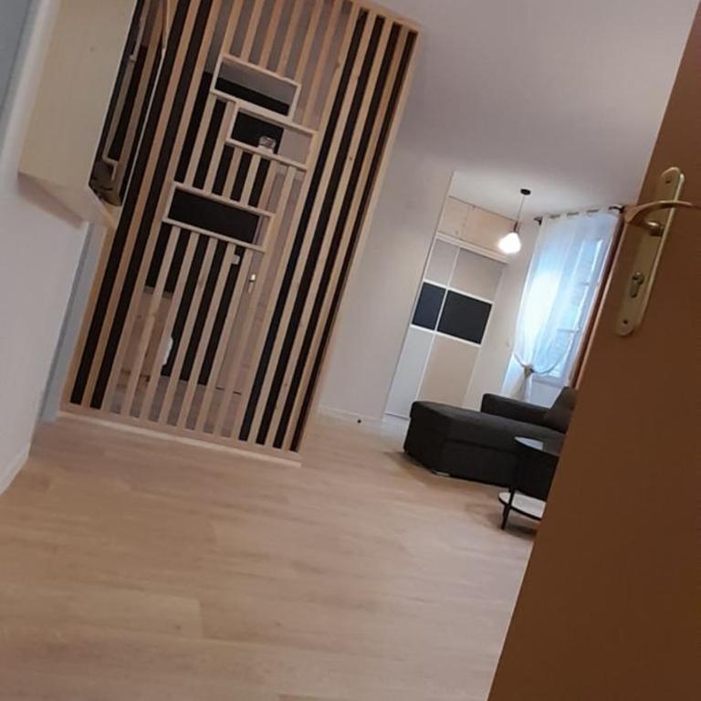 Très bel appartement T3 HYPER CENTRE ENTIEREMENT RENOVE EN 2022 - Appartement 2 Chambres - 6