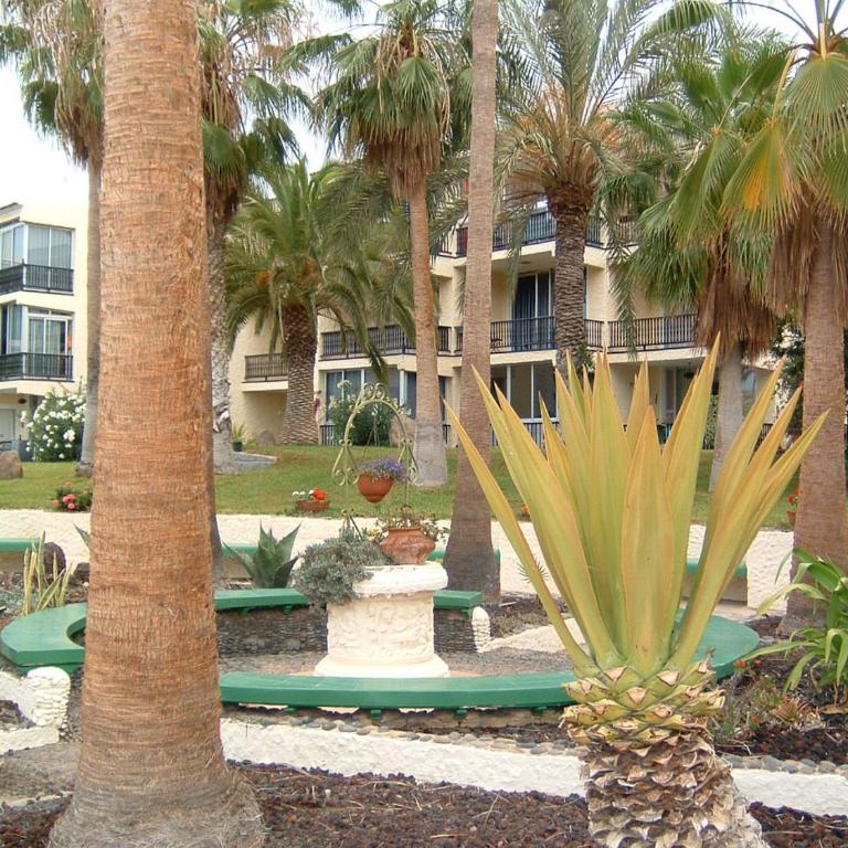 Miraverde Bright studio with Great Views - Estudio (2 adultos) - 23