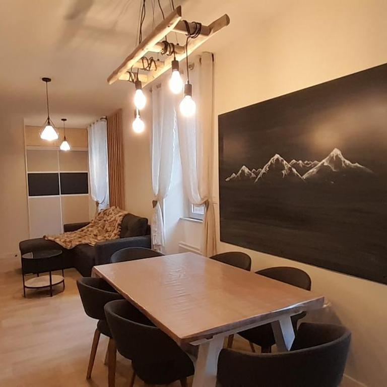 Très bel appartement T3 HYPER CENTRE ENTIEREMENT RENOVE EN 2022 - Appartement 2 Chambres - 1