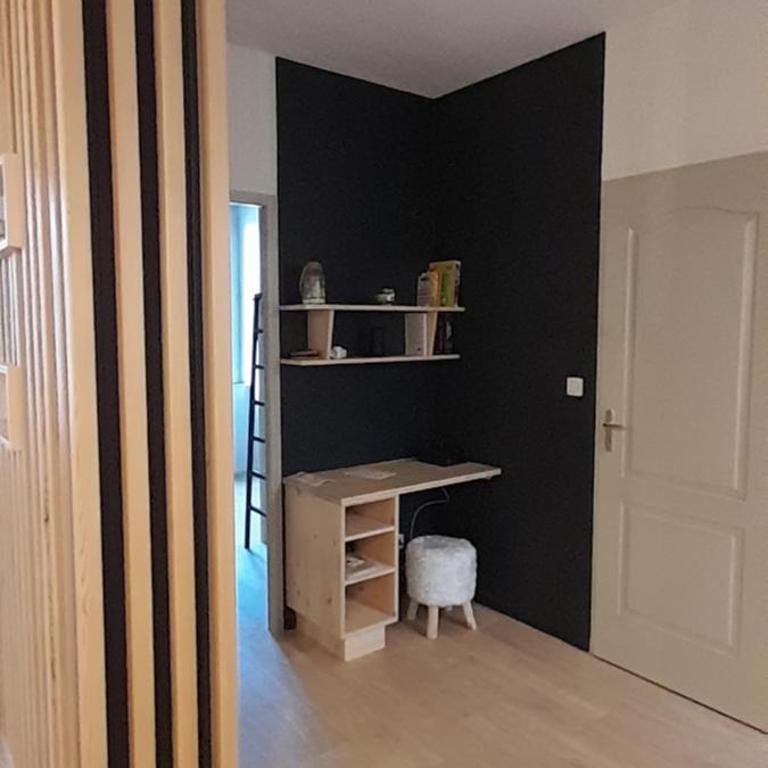 Très bel appartement T3 HYPER CENTRE ENTIEREMENT RENOVE EN 2022 - Appartement 2 Chambres - 9