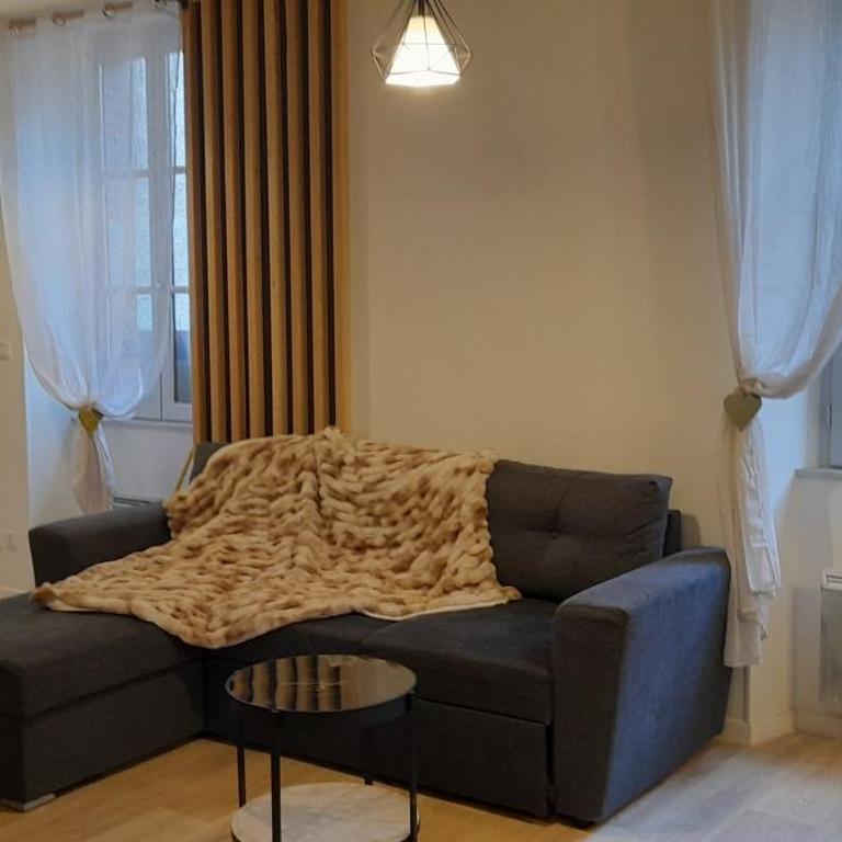 Très bel appartement T3 HYPER CENTRE ENTIEREMENT RENOVE EN 2022 - Appartement 2 Chambres - 12