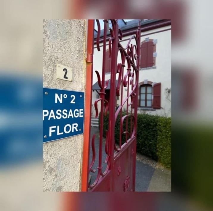 Très bel appartement T3 HYPER CENTRE ENTIEREMENT RENOVE EN 2022 - Appartement 2 Chambres - 36