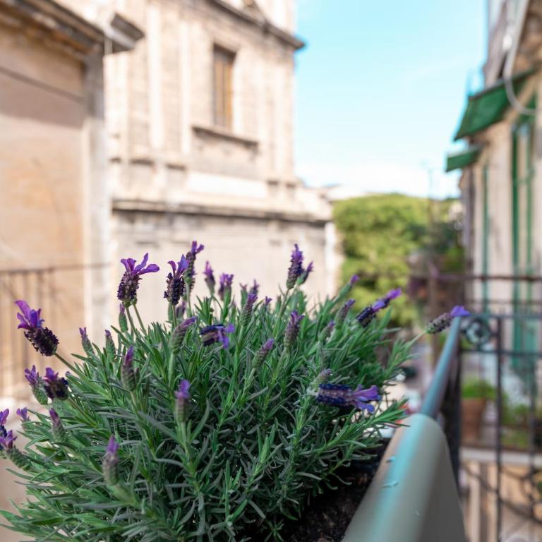 NicolHouse - Appartamento nel centro storico di Palermo - Appartamento con 1 Camera da Letto - 15