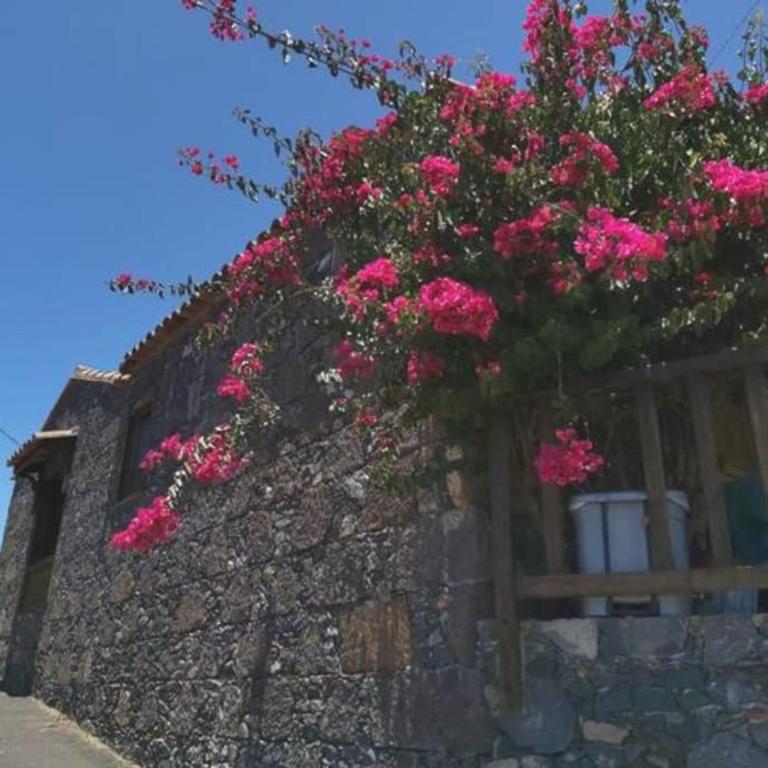 Casa Tía Rosa. - Casa de 2 dormitorios - 17