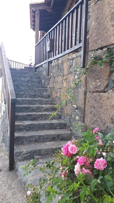 Casa Tía Rosa. - Casa de 2 dormitorios - 18