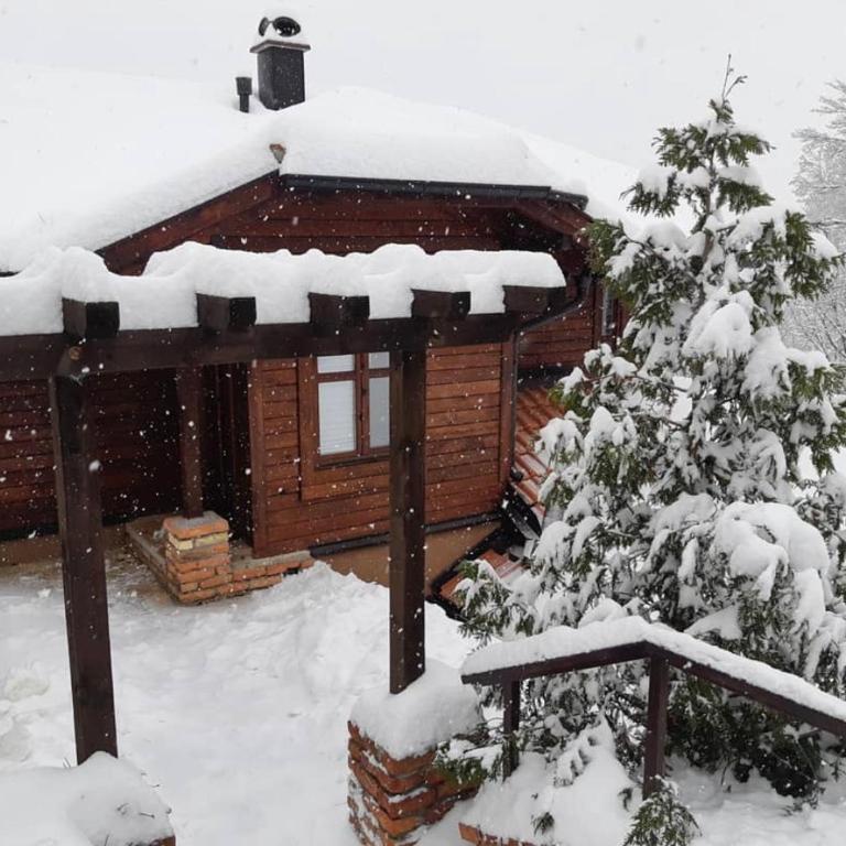 Zlatibor Vila Janjić - Apartman sa 1 Spavaćom Sobom - 2