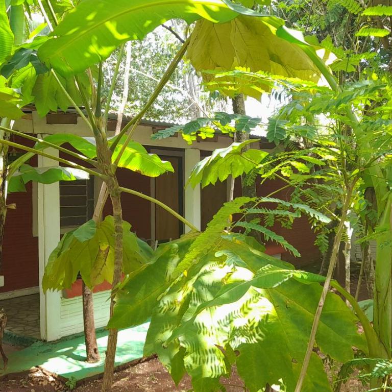 Alojamiento El Bosque - Family Room with Shower - 1