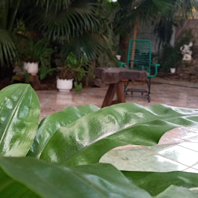 Alojamiento El Bosque - Family Room with Garden View - 7