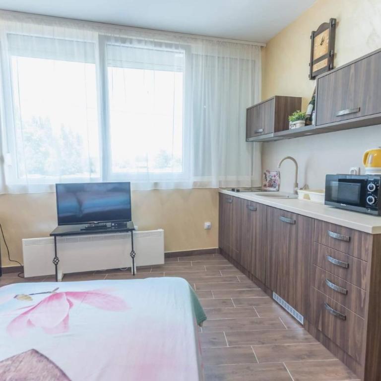 Drina apartman - Apartman sa 1 Spavaćom Sobom - 5