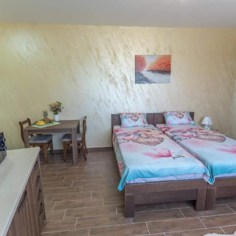 Drina apartman - Apartman sa 1 Spavaćom Sobom - 12