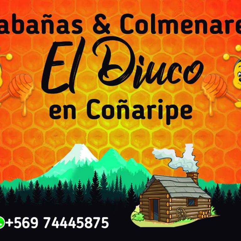 Cabañas El Diuco en Coñaripe 1 - Three-Bedroom Townhouse - 2