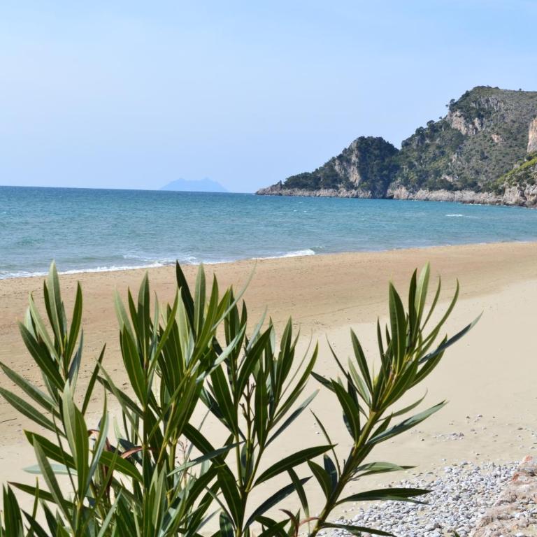 VILLETTA ALOHA SUL MARE - Casa con 3 Camere da Letto - 22