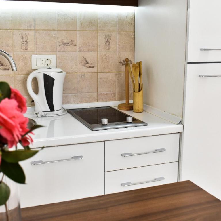 Paunovic Apartments - Apartman - 38