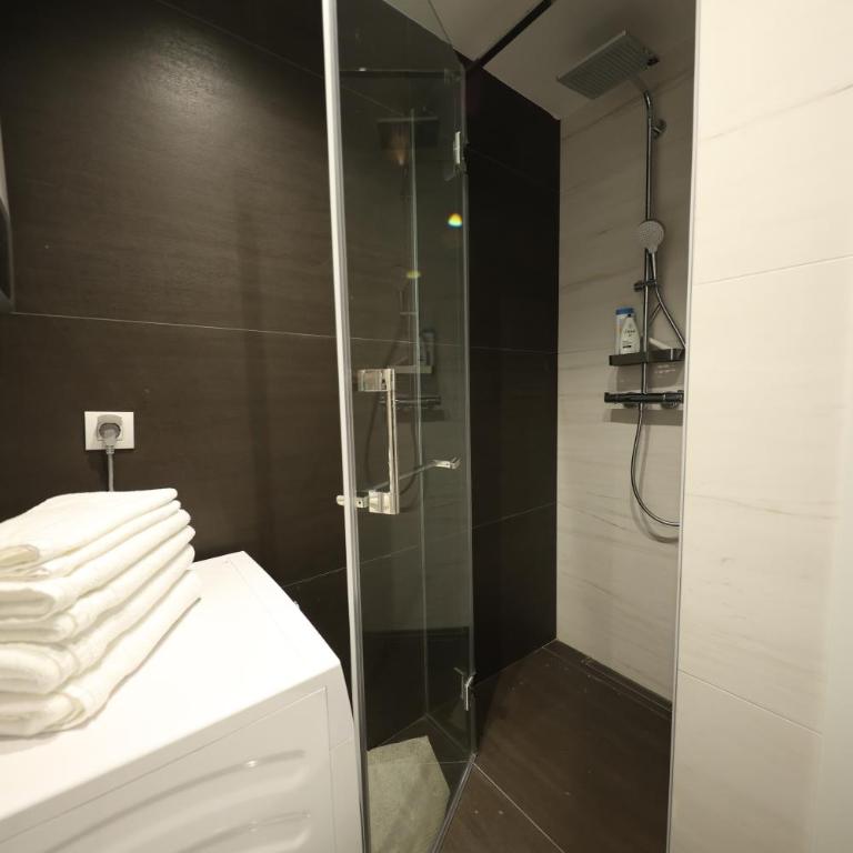 Modern apartment in the heart of Belgrade - Apartman sa 1 Spavaćom Sobom - 4