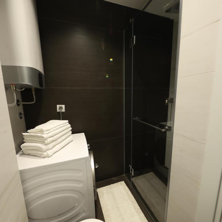 Modern apartment in the heart of Belgrade - Apartman sa 1 Spavaćom Sobom - 17