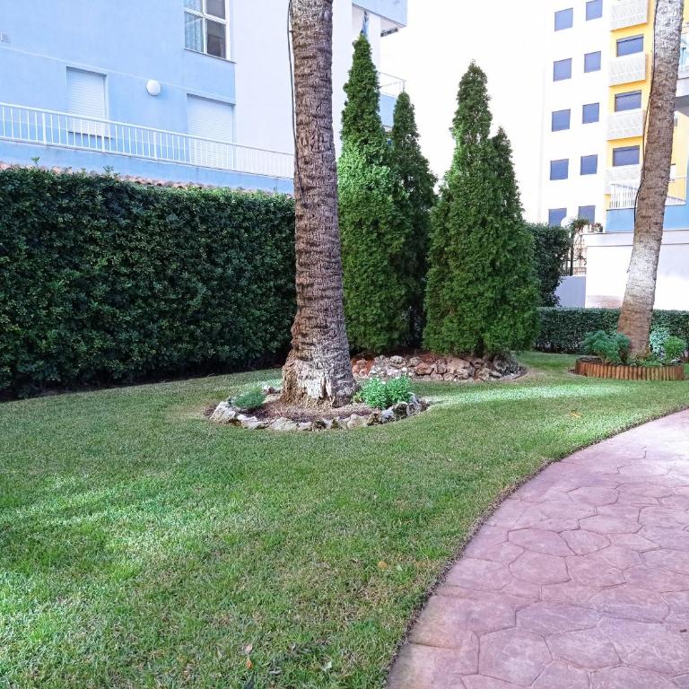 Palmeras III Solo Familias Serviplaya!!! - Apartamento Deluxe - 29