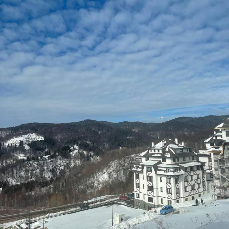 Vidik Kopaonik - Two-Bedroom Apartment - 21