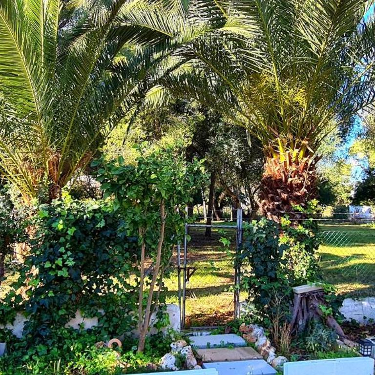 Dolce Vita - Three-Bedroom House - 31