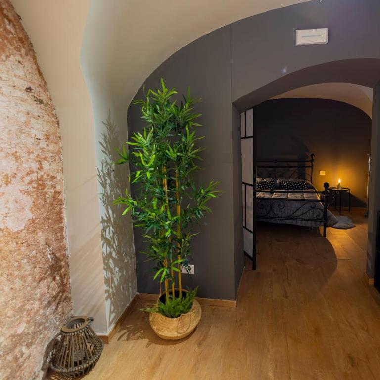 Lavika Home - Apartment - 3