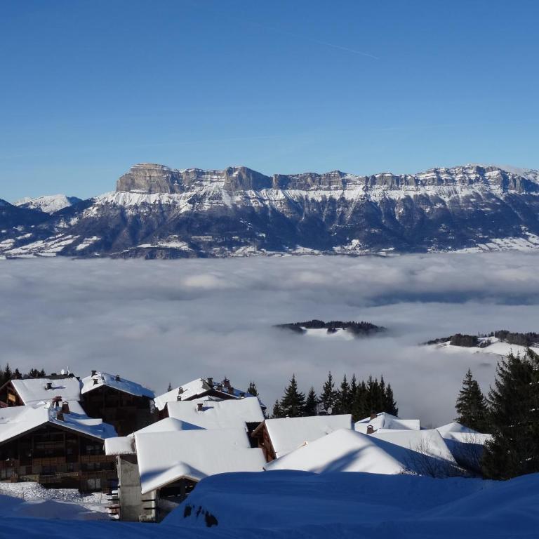 Les 7 laux immobilier chalet F - Appartement 3 Chambres - 10
