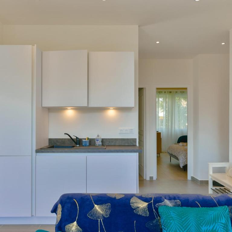 Appartement refait à neuf, proche plage et centre ville- Ajaccio-Parc Berthaut - Appartement 1 Chambre - 10