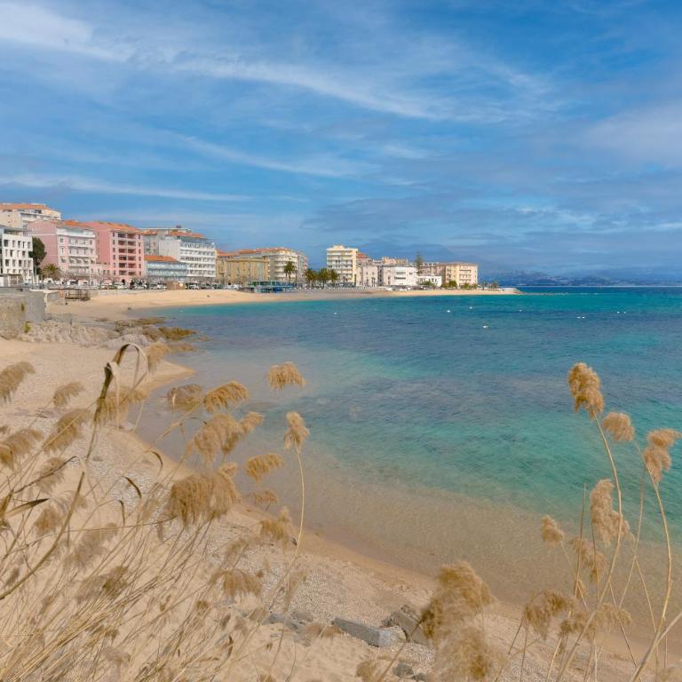 Appartement refait à neuf, proche plage et centre ville- Ajaccio-Parc Berthaut - Appartement 1 Chambre - 1