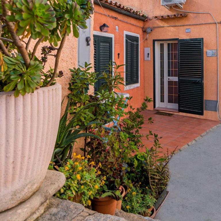 Murphy Holiday Home - Casa Papini - Studio Apartment - 3