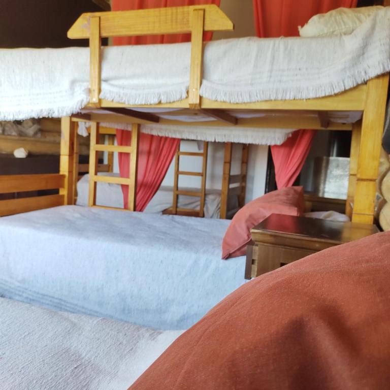 Tierra Sagrada Eco Lodge - Cama individual en habitación compartida mixta - 3