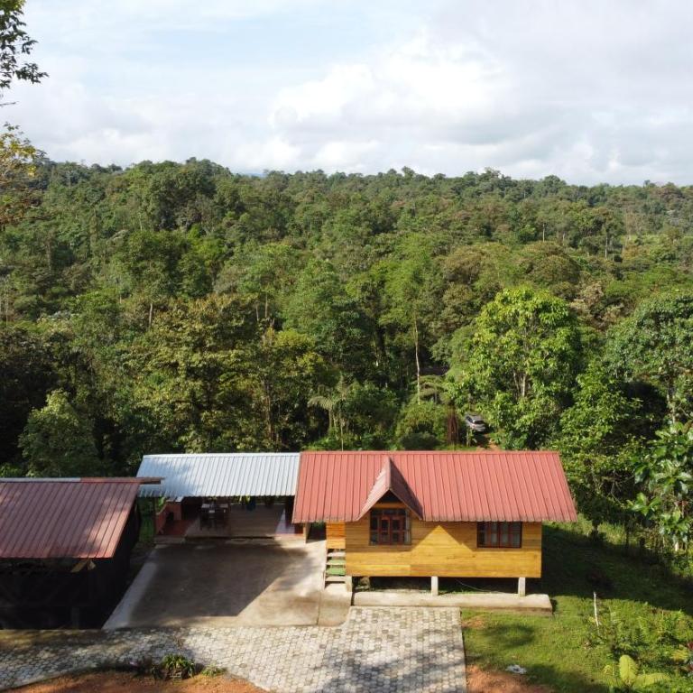 Cabañas Manakins - Three-Bedroom House - 8