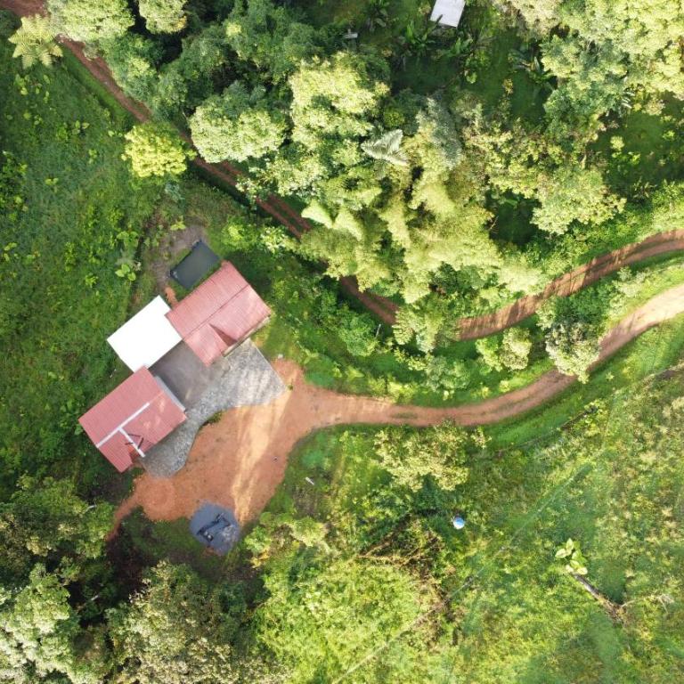 Cabañas Manakins - Three-Bedroom House - 7