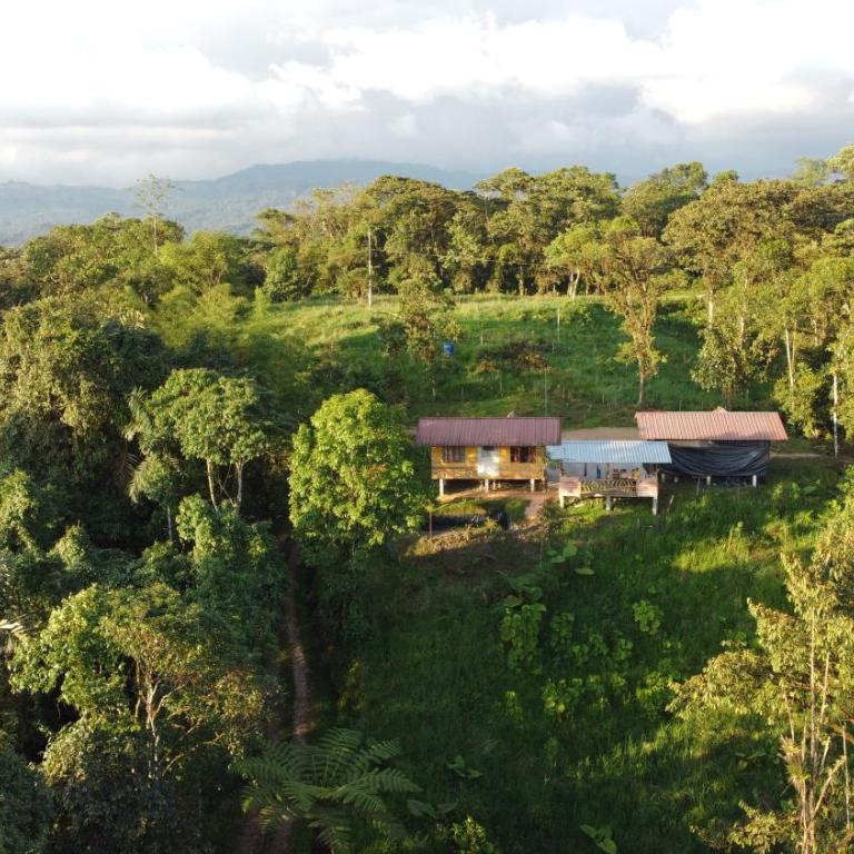 Cabañas Manakins - Three-Bedroom House - 9