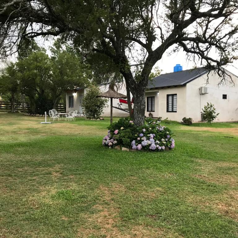 Los Talas - Two-Bedroom Apartment - 14