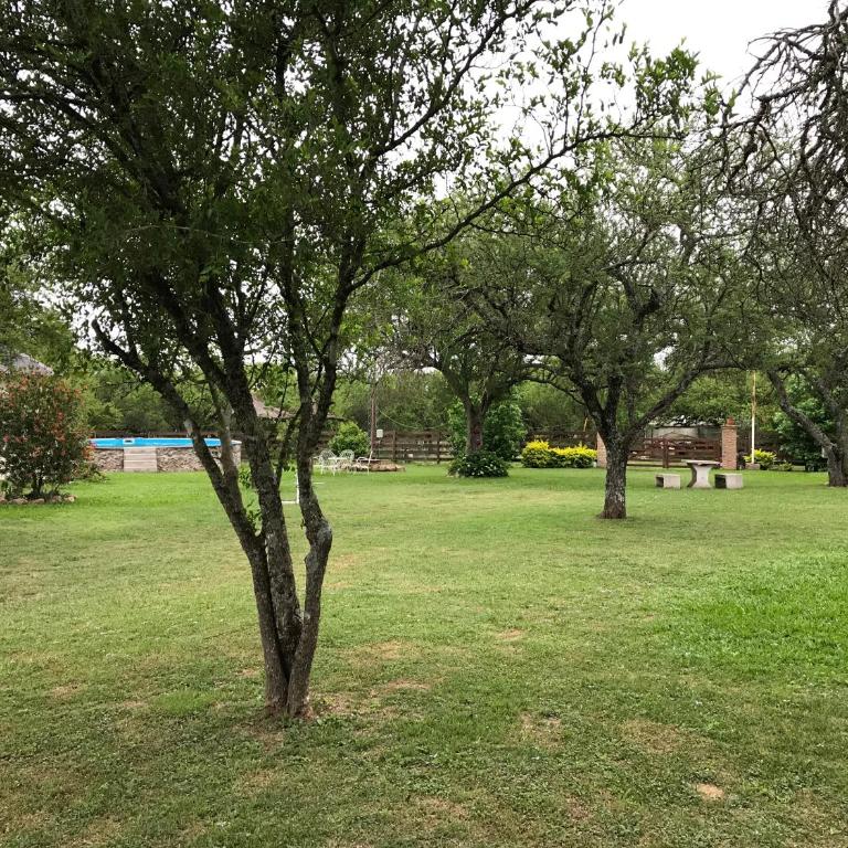 Los Talas - Two-Bedroom Apartment - 19