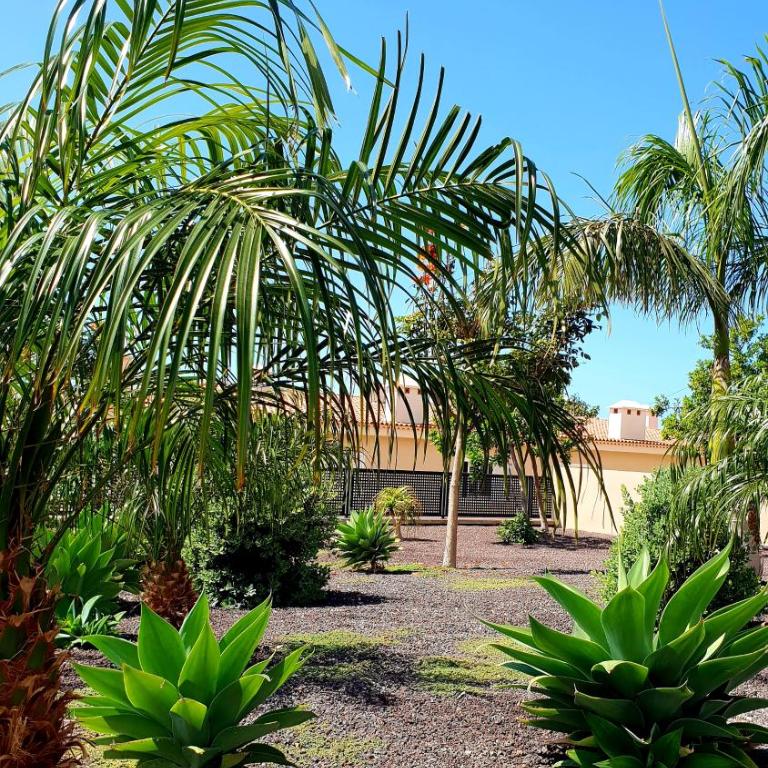 Ocean Romance (Duplex) - Casa de 2 dormitorios - 21