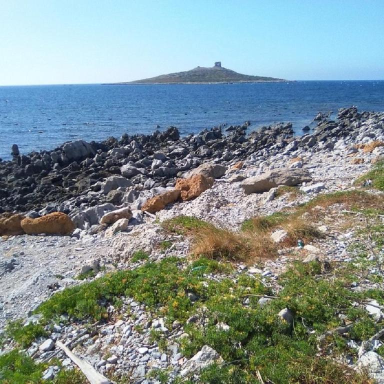 Villetta Isola - Villa 2 Chambres - 16