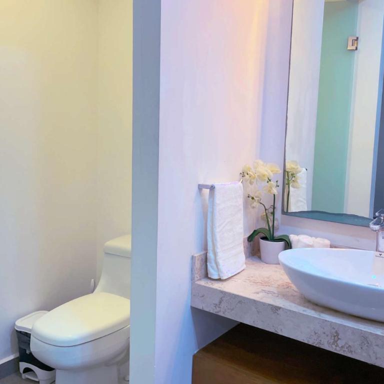 Stylish studio on the 5th Ave of Playa del Carmen - Studio Apartment - 34