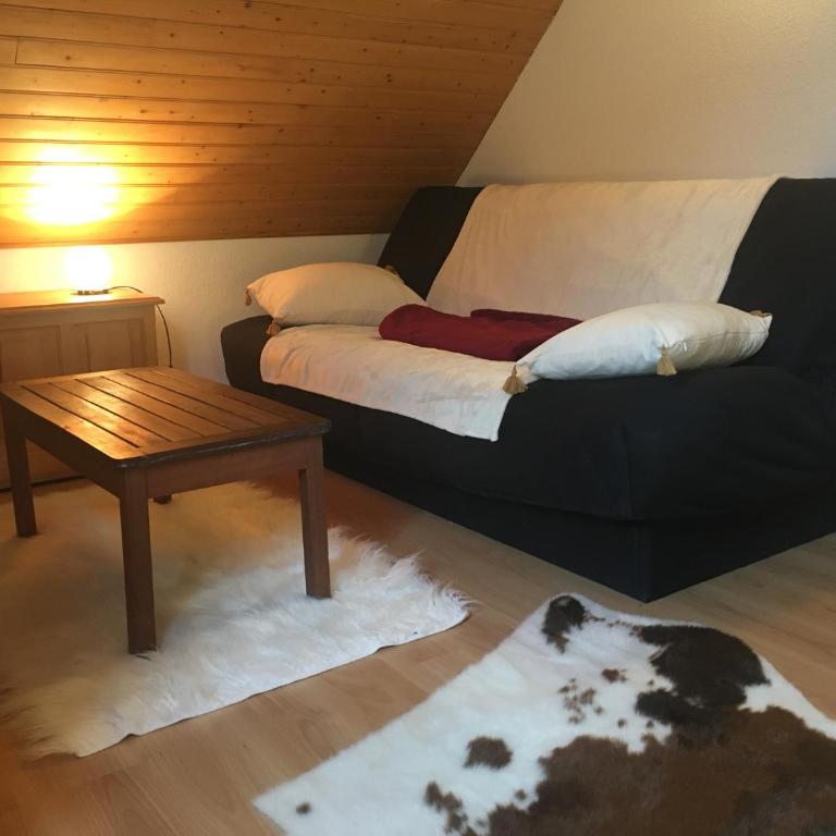 Chalet tout confort 3 chambres - Appartement - 12